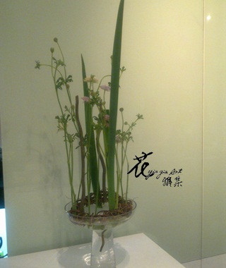 201103022365.jpg