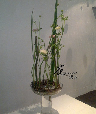 201103022373.jpg