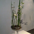 201103022373.jpg