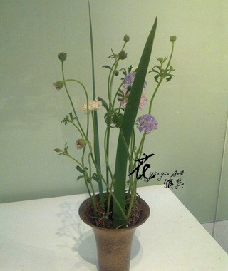 201103022379.jpg