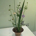 201103022379.jpg