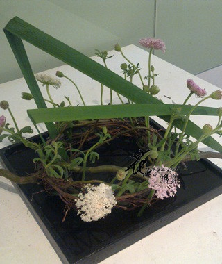 201103022396.jpg
