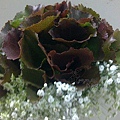 201103052421.jpg