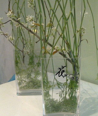 201103092495.jpg