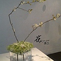 201103092501.jpg