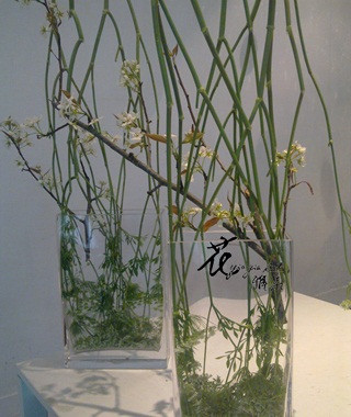 201103092550.jpg