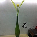 201103122587.jpg