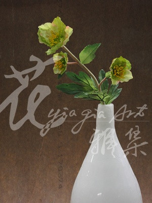 三叉聖誕玫-1.jpg
