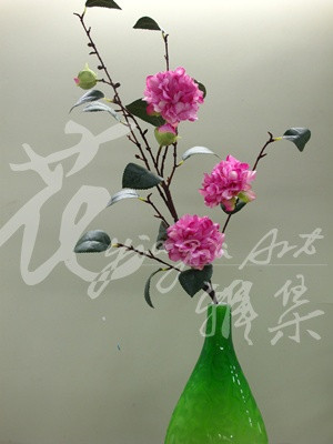 茶花-4.jpg