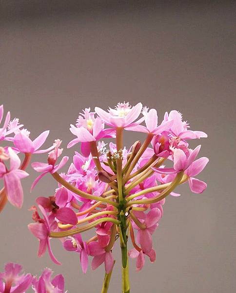 29109.jpg 29109.jpg