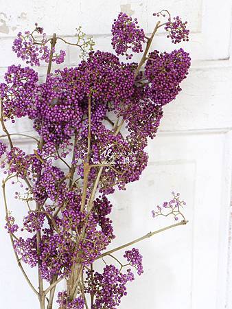 IMG_1022.JPG IMG_1022.JPG