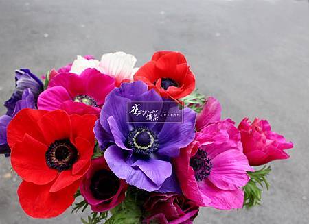 IMG_5339.JPG IMG_5339.JPG