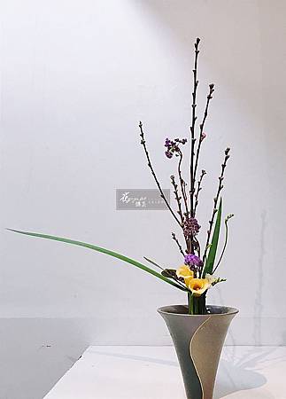 立花新風体 立花新風体