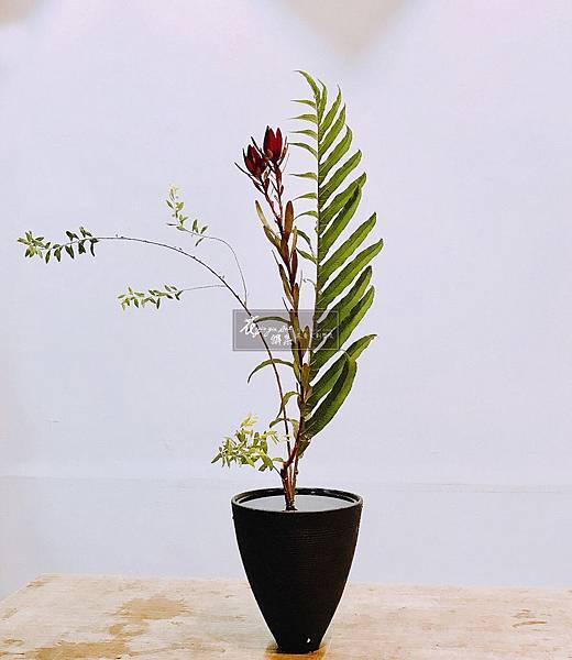 生花新風体,淑文作品180607-2.jpg 生花新風体,淑文作品180607-2.jpg