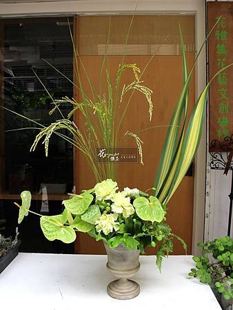 IMG_8337.jpg IMG_8337.jpg