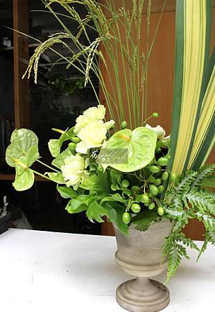 IMG_8354.jpg IMG_8354.jpg