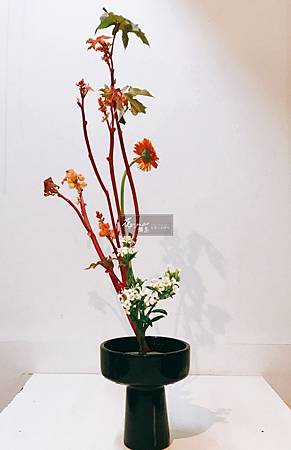 生花三種生-秦華180707-2.jpg 生花三種生-秦華180707-2.jpg