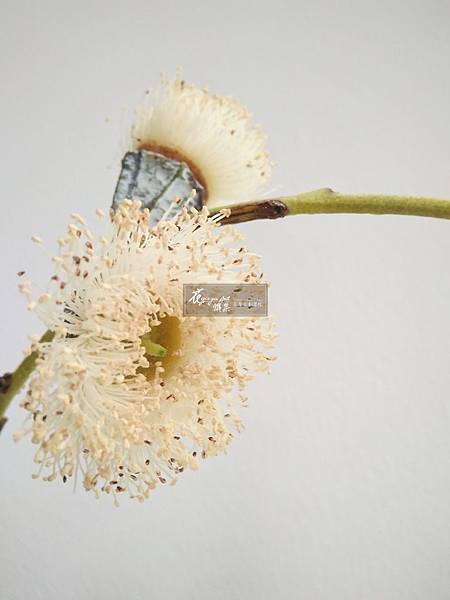 WeChat 圖片_20180824173120.jpg