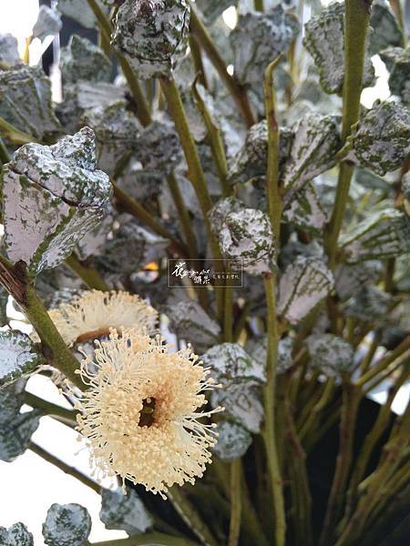 WeChat 圖片_20180824173043.jpg