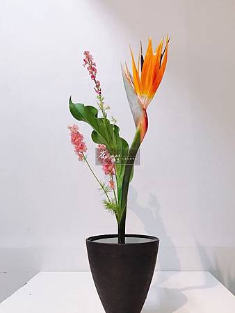 生花新風體-淑文180413.jpg 生花新風體-淑文180413.jpg