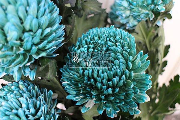 ‖流光溢彩‖ 重重的花瓣配上清冽的顏色， 宛若經過完美切工後， 散發出閃耀光芒的藍綠寶石。 ----------------------- 延伸美學: www.yia.c