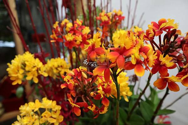 ‖頌春‖ 大紅色系綴上亮黃色， 不僅點亮空間更是視覺焦點， 外放的花形擺在玄關迎賓處， 大方體面、氣宇非凡。  花雅集的好朋友們~ 一年一度的新年單堂花藝課及 花禮特惠促