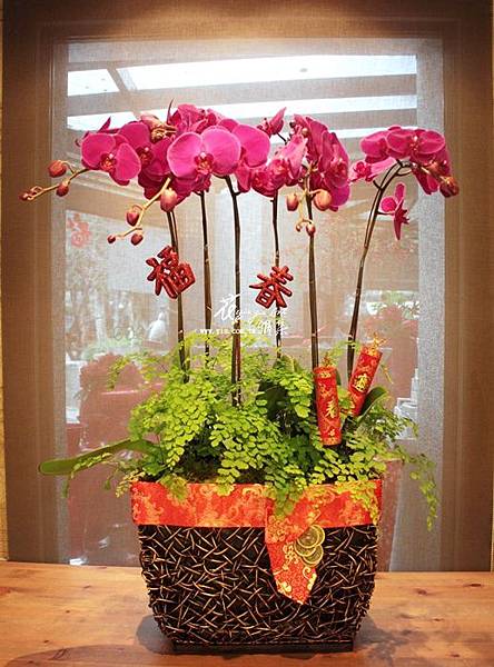 ∥幸福˙優雅˙希望∥ 蝴蝶蘭討喜的顏色及大方優美的花形， 一直都頗受大眾青睞， 花期長加上容易照顧， 更是新年布置的最愛， 這兩天蝴蝶蘭的訂單已經開始湧入， 要訂要快喔!