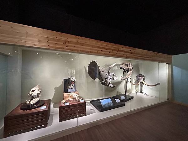 <國立自然科學博物館 特展-在海之濱> <國立自然科學博物館 特展-在海之濱>