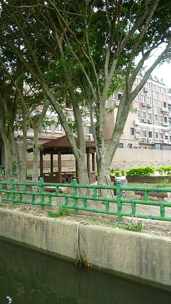 氣根1 氣根1