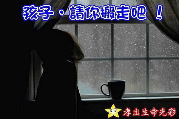 人生1 人生1