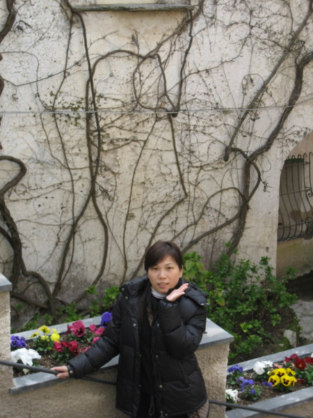 IMG_3633.jpg