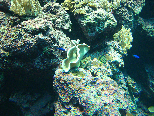 IMG_4236.JPG