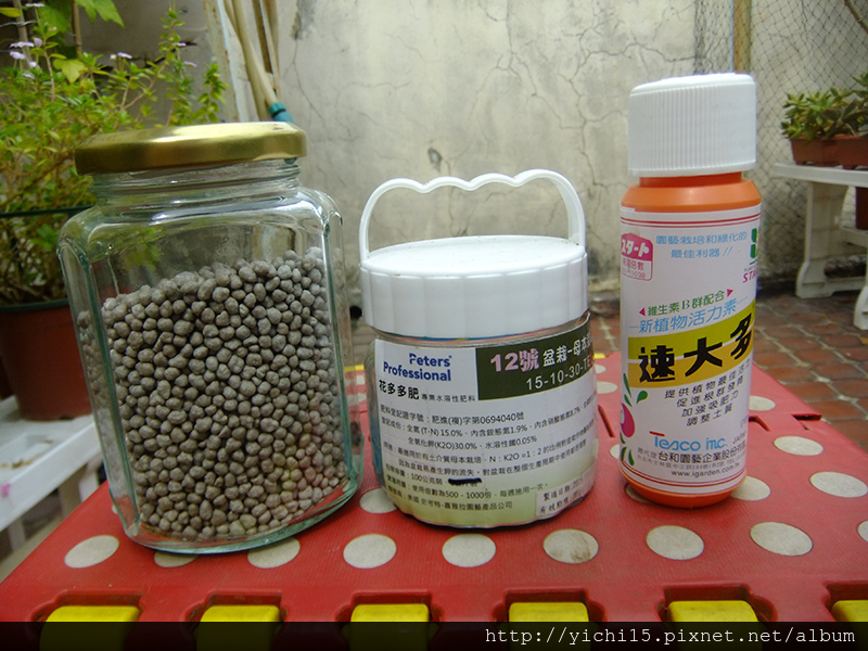 多肉相關 多肉植物的防蟲 防鳥 殺菌與肥料 露台上的花草們 痞客邦 多肉相關 多肉植物的防蟲 防鳥 殺菌與肥料 露台上的花草們 痞客邦