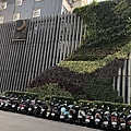 立體造型牆-臺灣大道近黎明路 (1).JPG