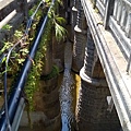 WP_20160722_051.jpg