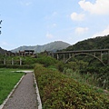 IMG_1259.JPG