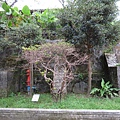 太子賓館 (2).JPG