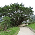 太子賓館 (12).JPG