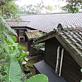 黃金博物館園區-四連棟後方 (7).JPG