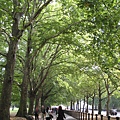 Green Park