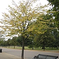 Hyde Park