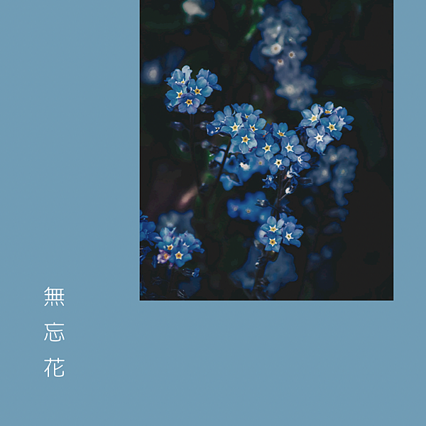 歌詞賞析 無忘花 歷盡無數個春夏秋冬 心中永遠有你 易真的部落格 痞客邦 歌詞賞析 無忘花 歷盡無數個春夏秋冬 心中永遠有你 易真的部落格 痞客邦