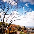 旭山