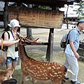 奈良東大寺