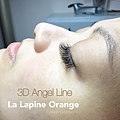 日式輕盈 3D Angel Line 濃密360根