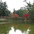 東大寺外面的小湖