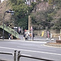 沒去的靖國神社