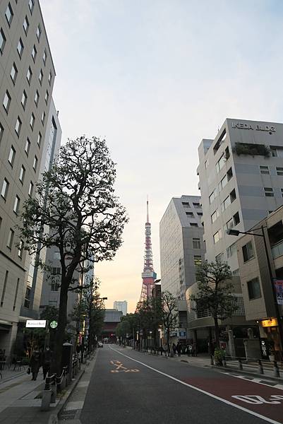 IMG_0538.JPG IMG_0538.JPG