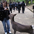 換我來餵