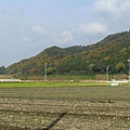 JR馬掘站 -> Dorokko龜岡站的路上 